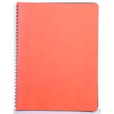 Agenda Siena