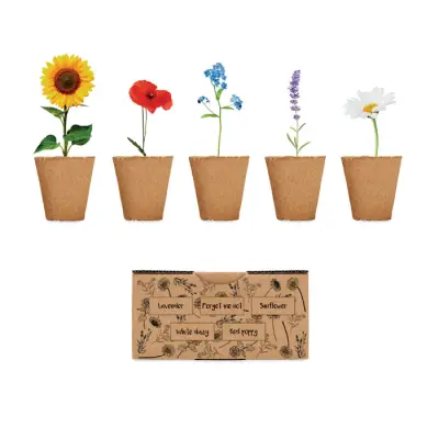 Kit de creștere a florilor cu semințe și compost inclus